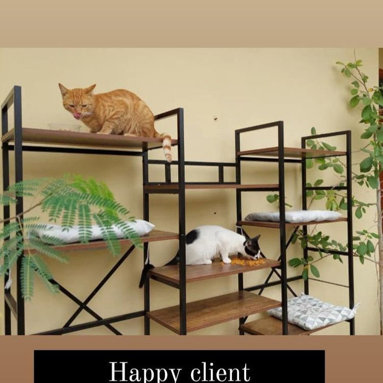 Philip Library Living Drawing Room Bookcase Rack - Special